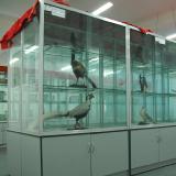 生物实验室